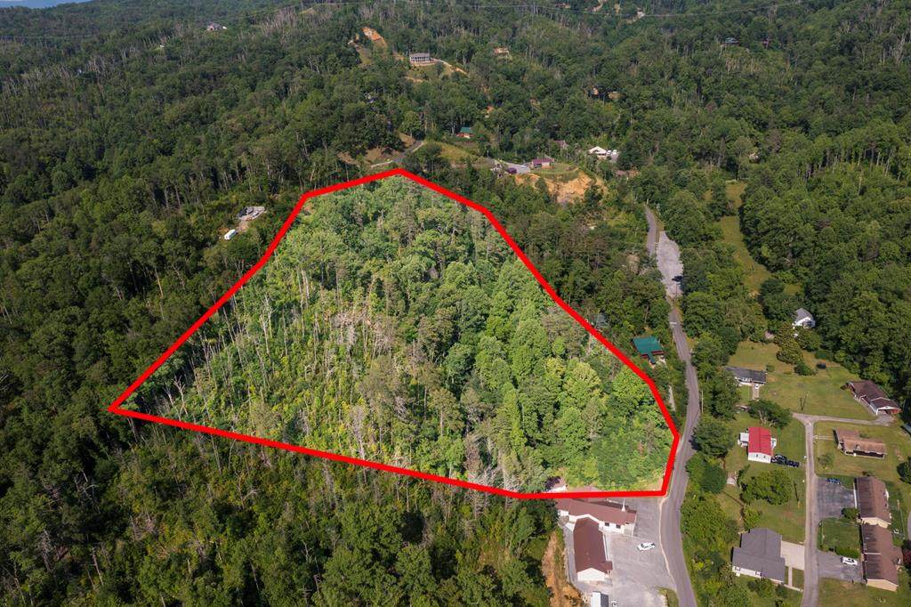 1205 Maples Manor Way - Photo 1
