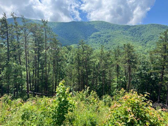 Lot 27 Aryel Overlook Way - Photo 1