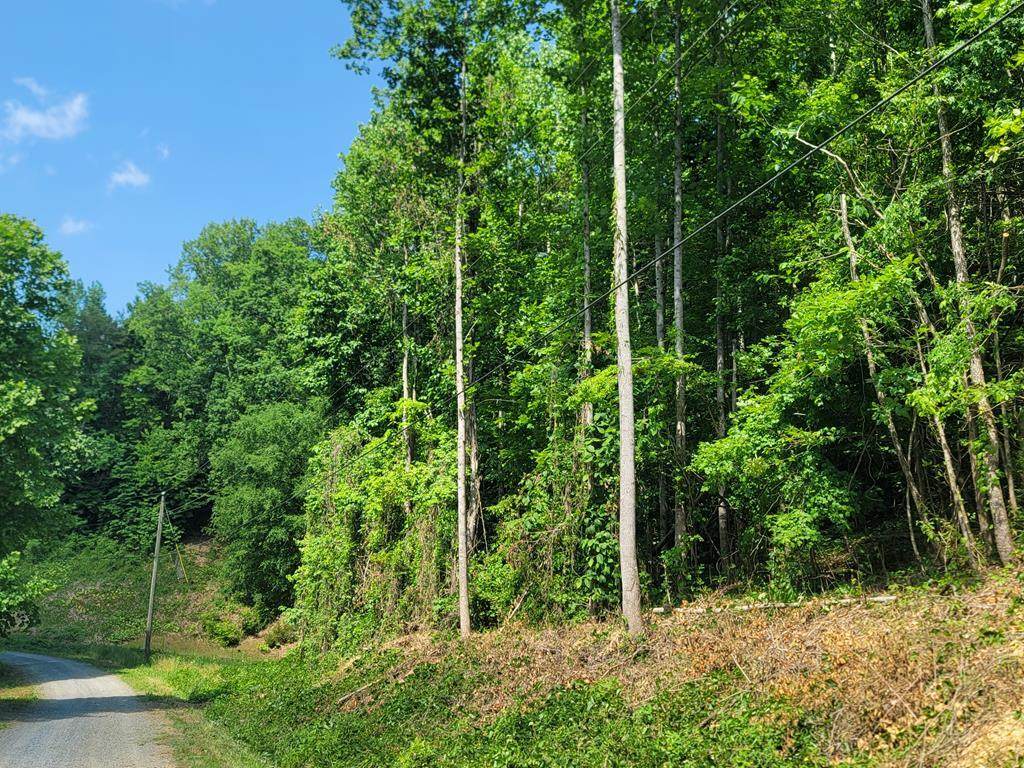 Lot 3 Bear Hollow Way - Photo 1