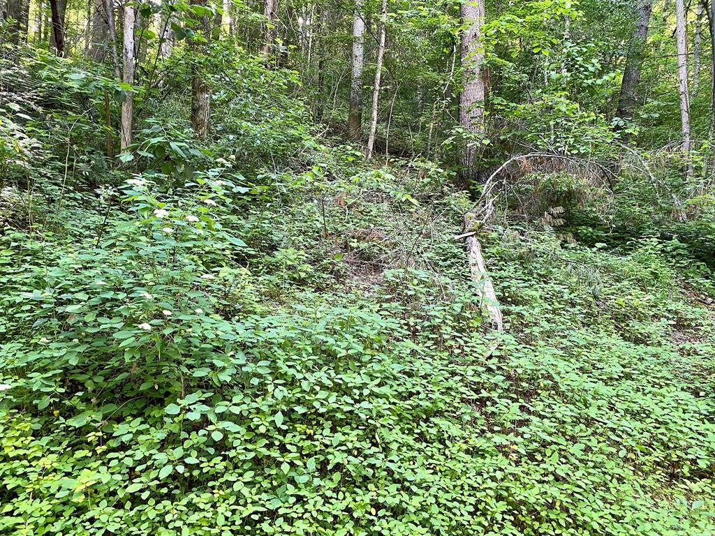 Lot 12 Sunset Rd - Photo 1
