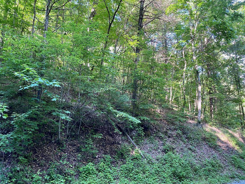 Lot 11 Sunset Rd - Photo 1