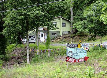 2620 Wears Valley Rd. - Photo 1