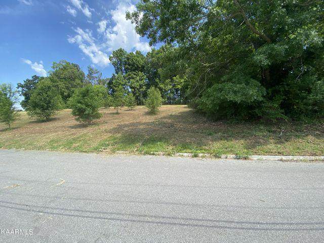 Lot #19 Sunrise Dr - Photo 1