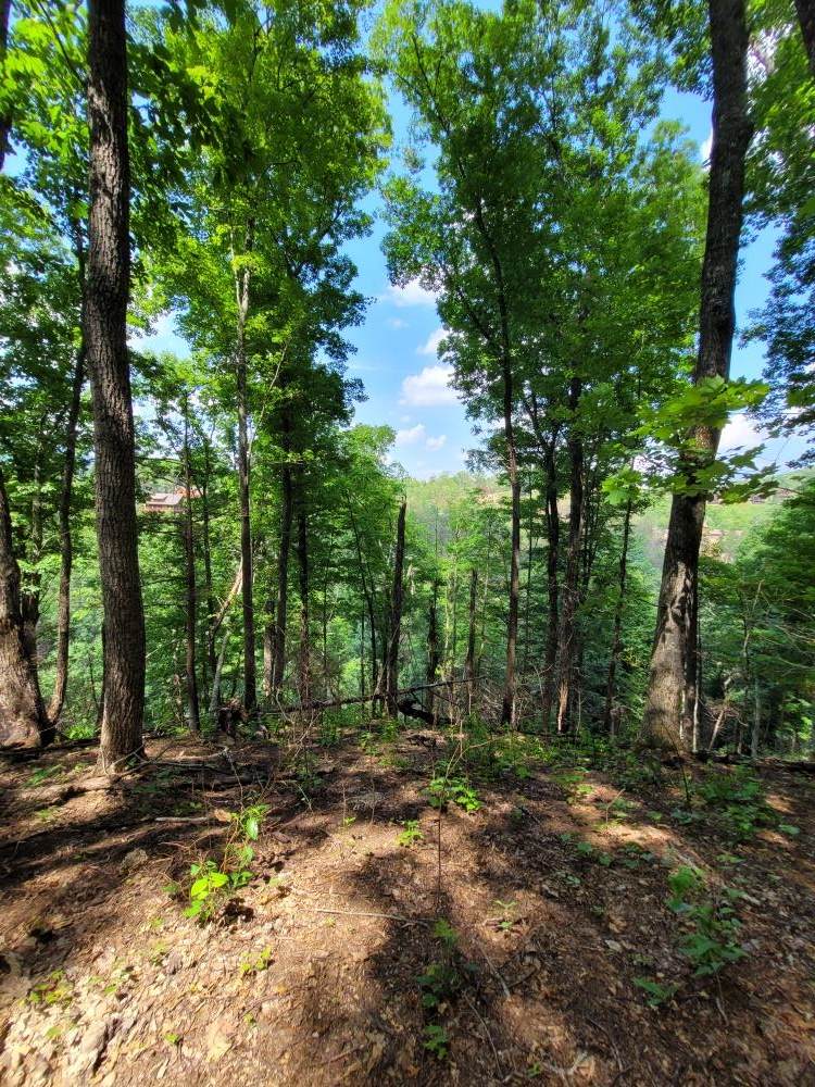 Lot 22 High Top Loop - Photo 1