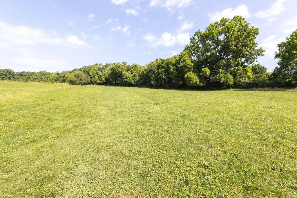 Black Oak Rd - Photo 1