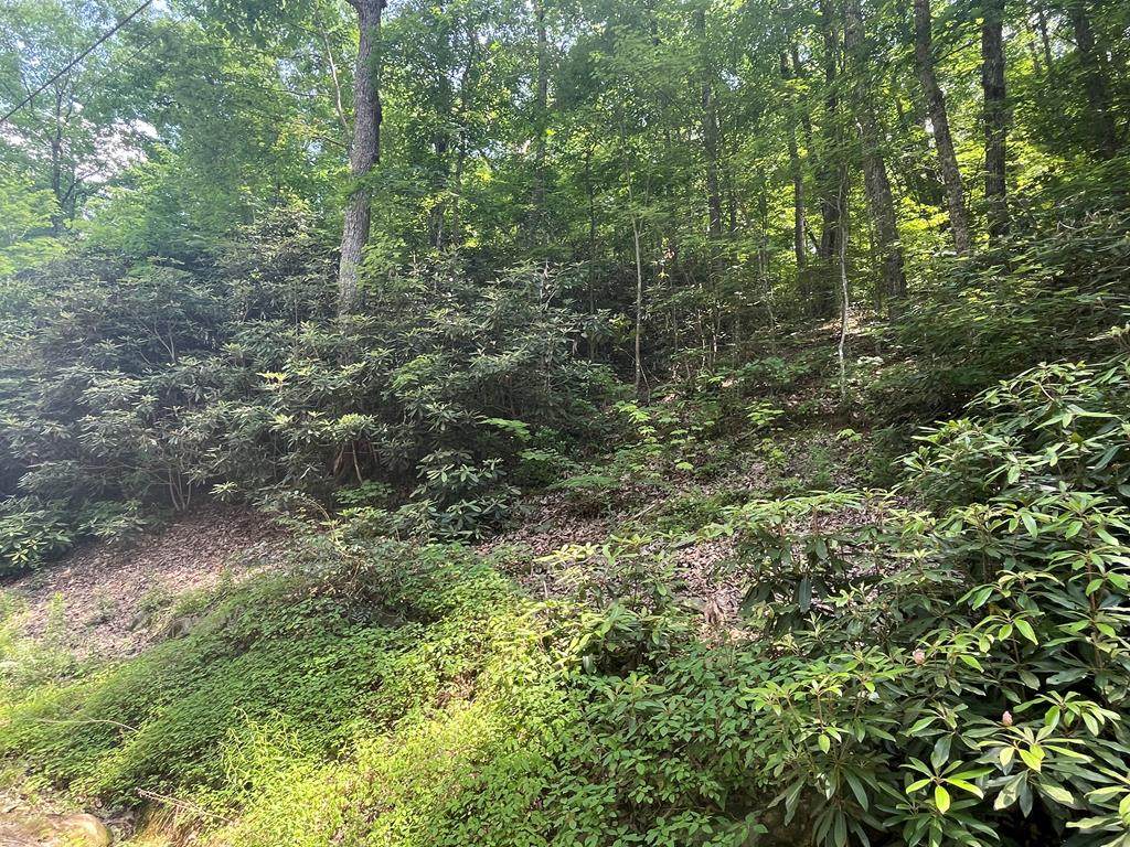 Lot 13 Overholt Trail - Photo 1