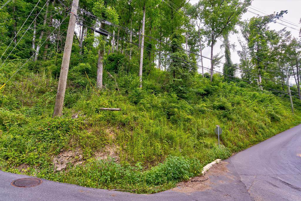 Lot 28 Silverbell Heights Lane - Photo 1