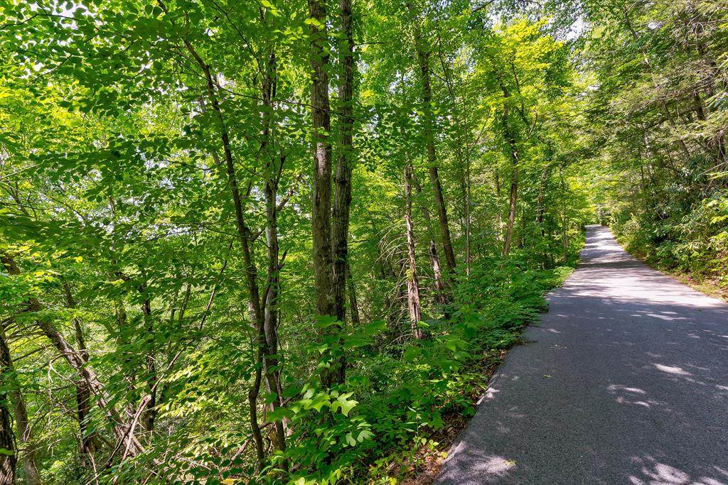 Lot 6 Ownby Circle/Lot 5 Shields Road - Photo 1