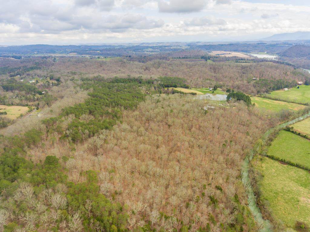 Brownlow Newman Ln. - Photo 1