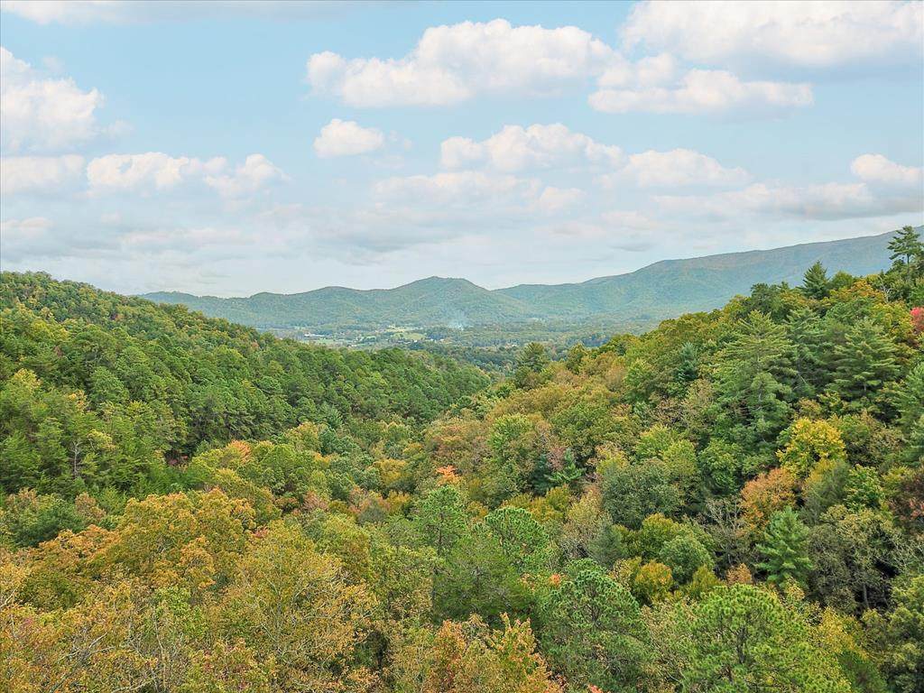 Blue Springs Way - Photo 1