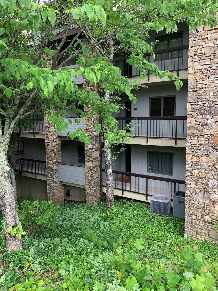 1130 Ski View Dr #111 - Photo 1