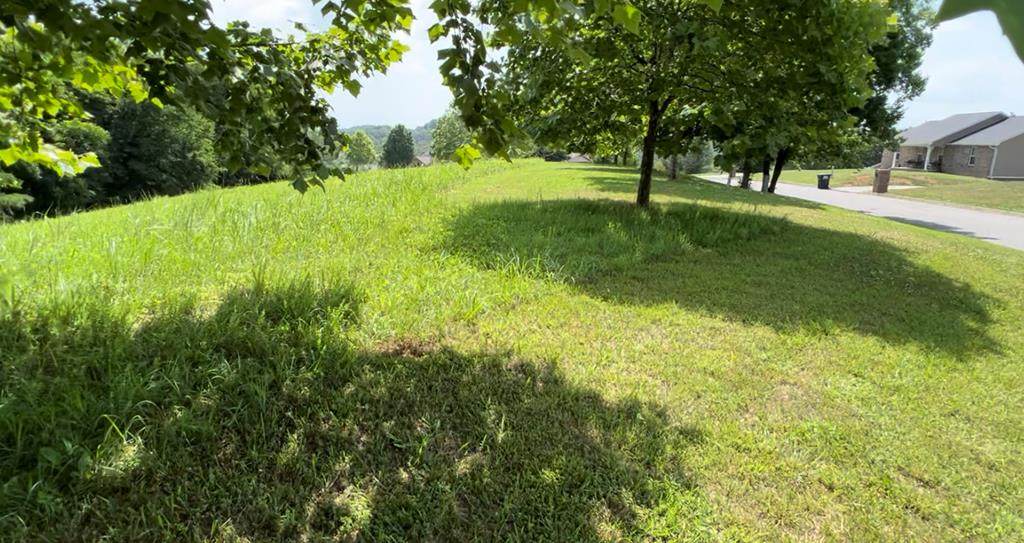 lot 16 River Cliff Dr - Photo 1