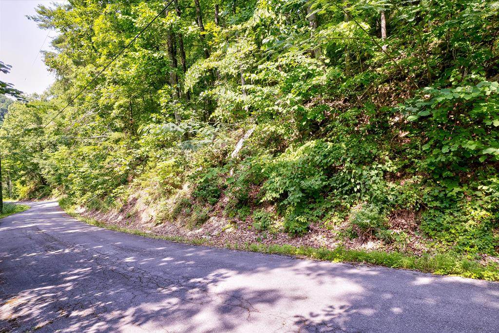 Lot 19 Sunset Rd - Photo 1