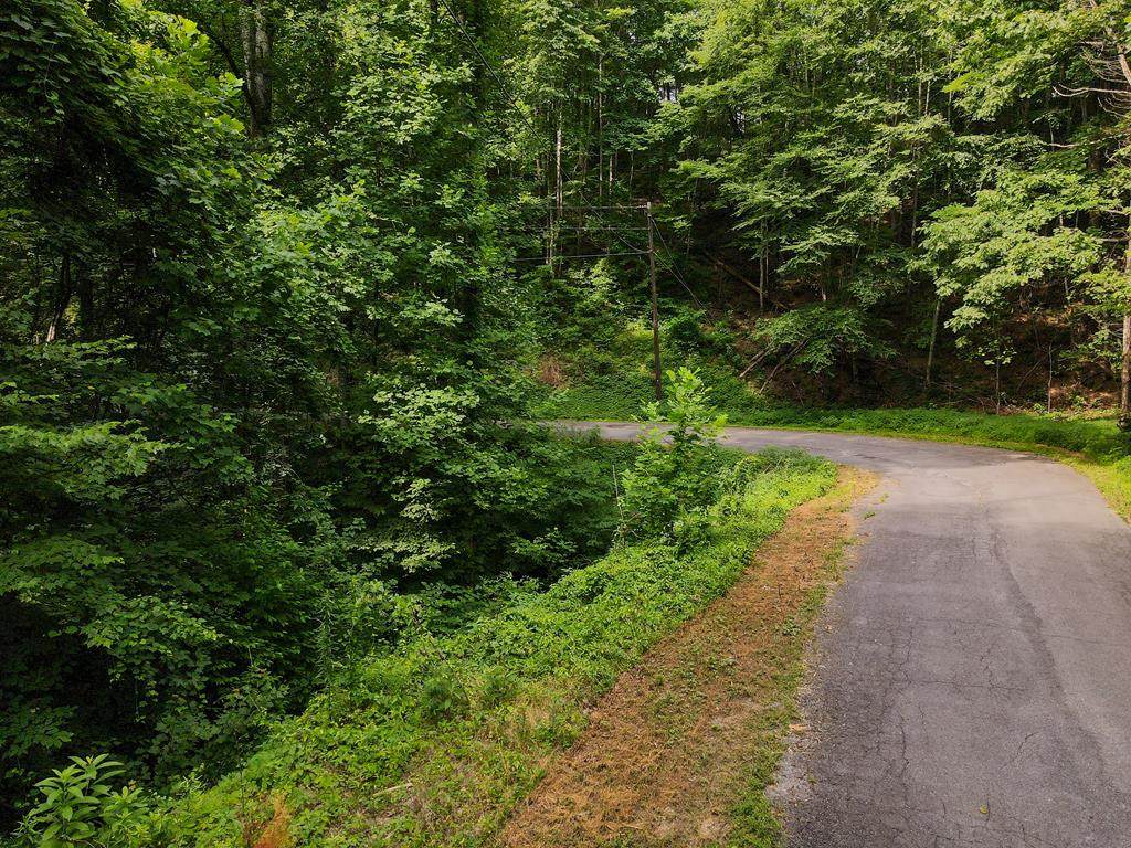 Lot 2 Stepping Stone Drive - Photo 1