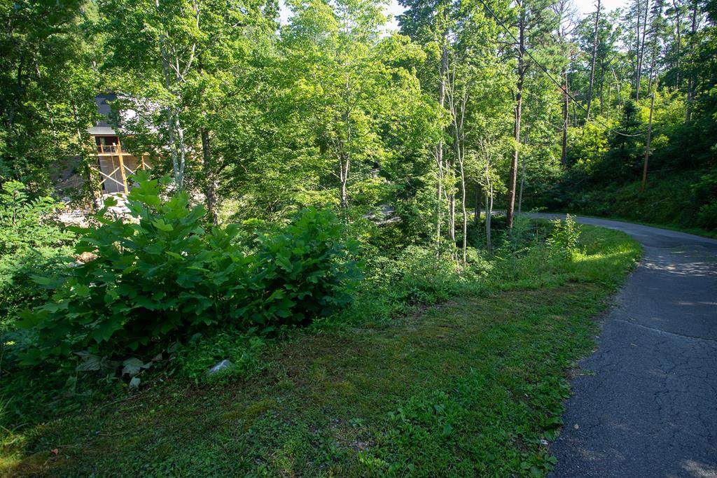 Lot 5BB Walker Trail - Photo 1