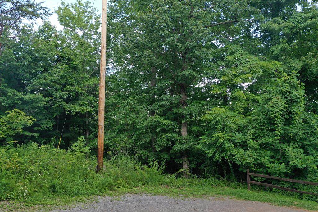 Lot 0976 Ridgefield Dr - Photo 1