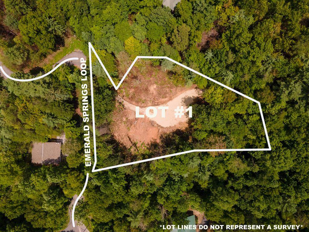 3293 Emerald Springs Loop - Photo 1