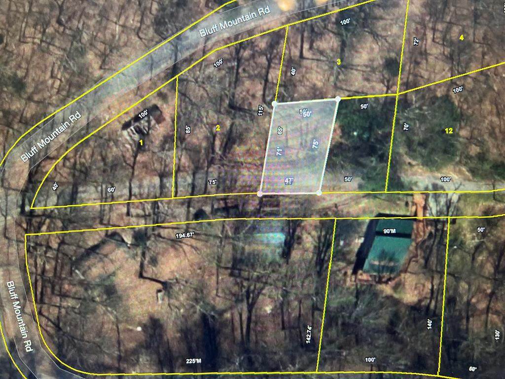 Lot /PO3 Bluff Mtn - Photo 1