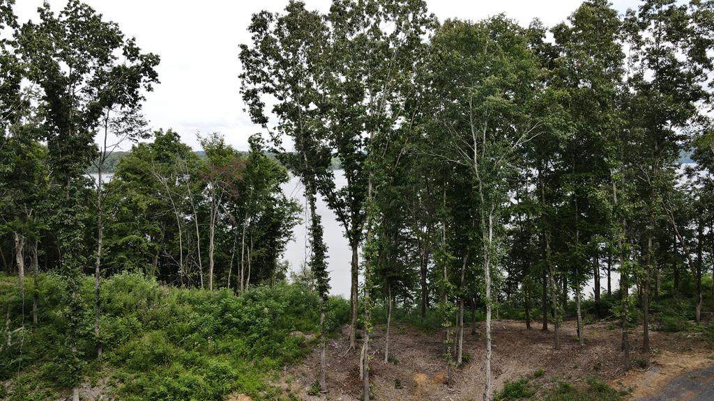 Lot 109 Big Cove Dr - Photo 1