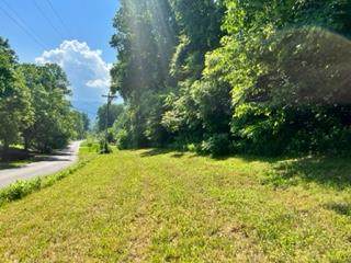 LT 2&3 Mcgaha Hollow Road - Photo 1