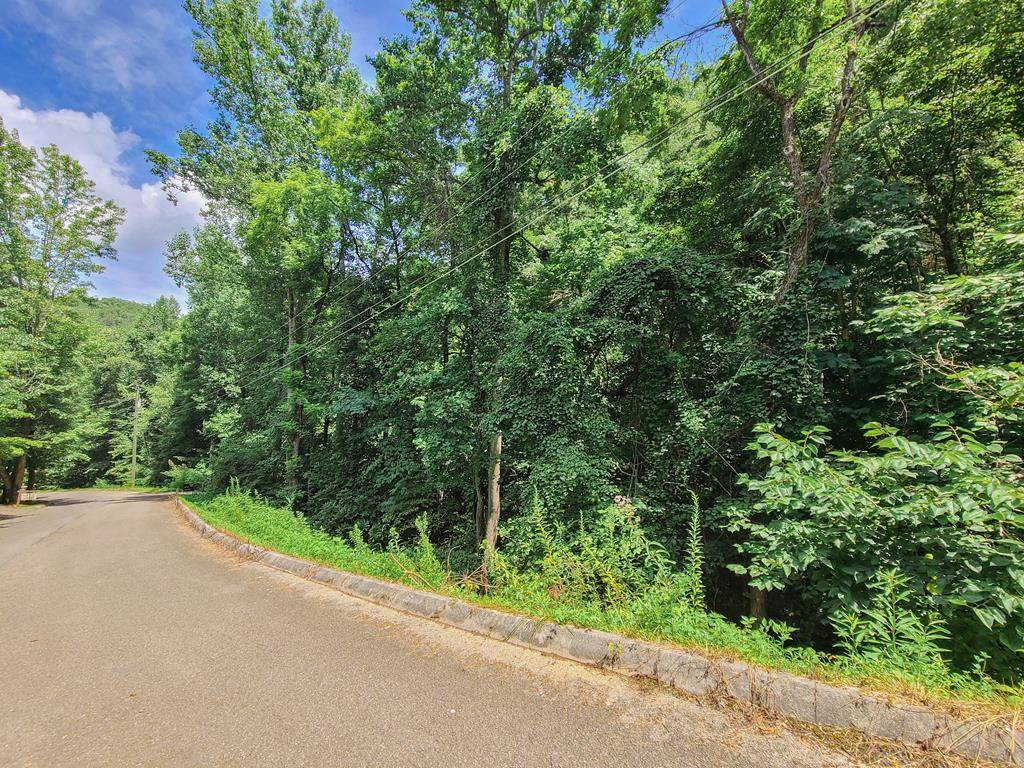 Lot 4 Pulaski Ln. - Photo 1