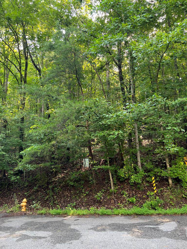 Laurel Lake Circle - Photo 1
