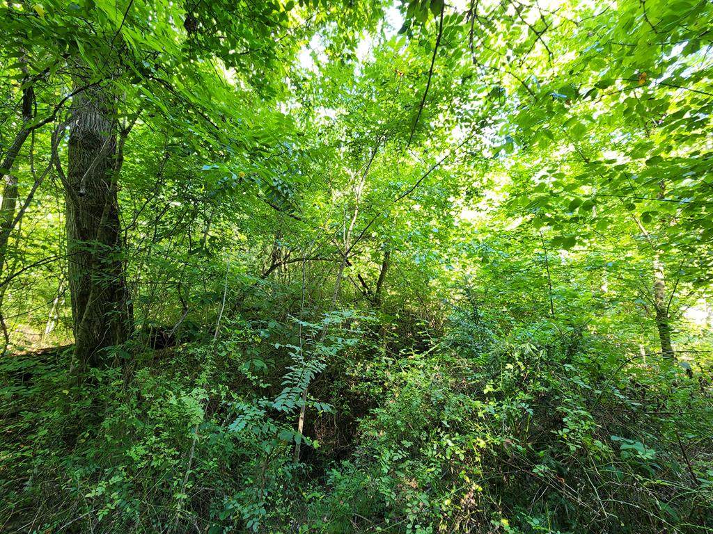 Ledo Rd - Photo 1