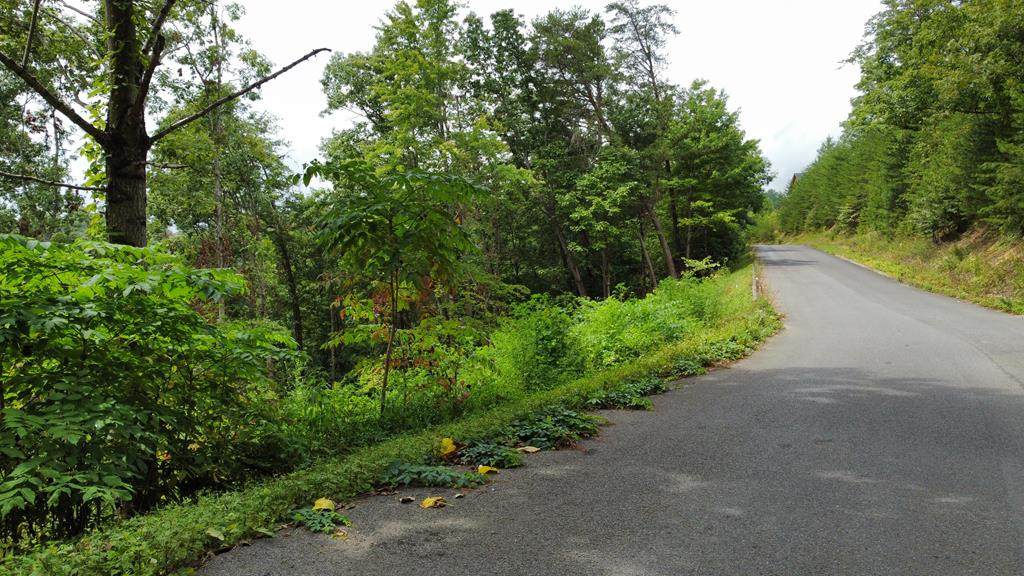 Lot 41 Laughing Pine Ln - Photo 1