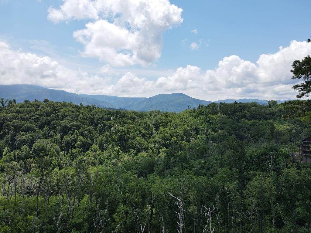 879 Sourwood - Photo 1