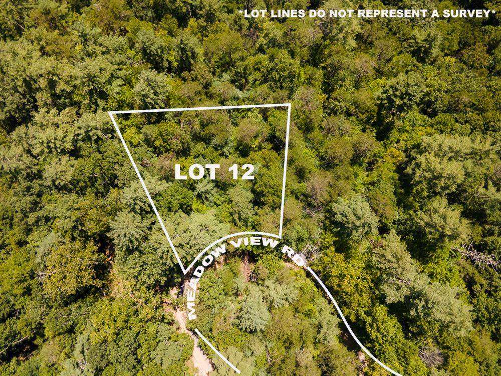 Lot 0012 Meadow View Road - Photo 1