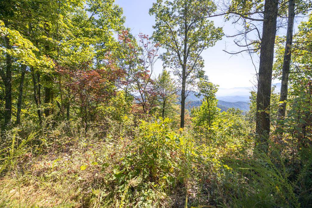 Lot 42 Silverbell Drive - Photo 1