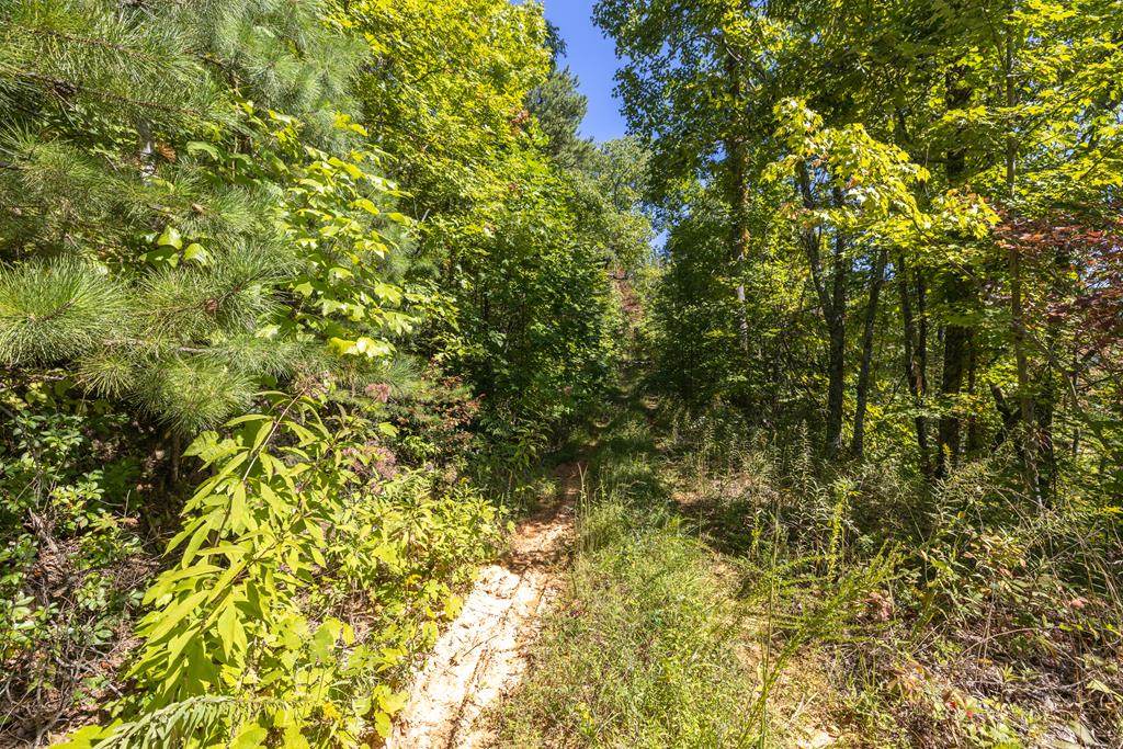 Lot 53 Silverbell Drive - Photo 1