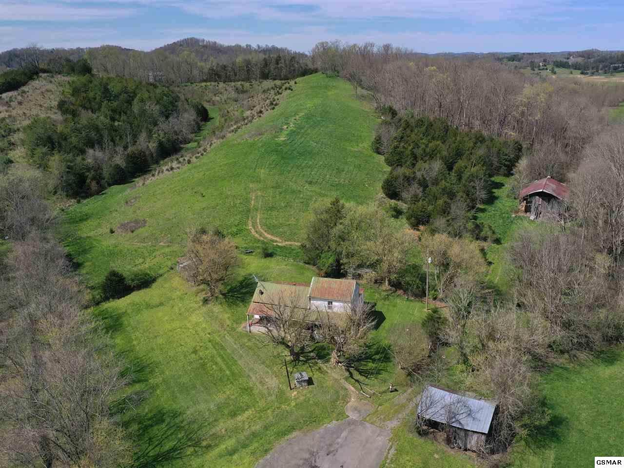 2400 Hall Road - Photo 1