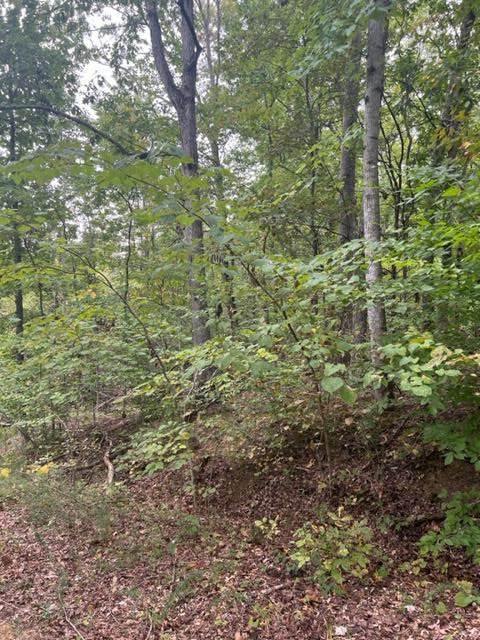Lot 1217 Iron Gate Drive - Photo 1