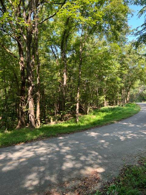 Lot 1117 Mountain View Lane - Photo 1