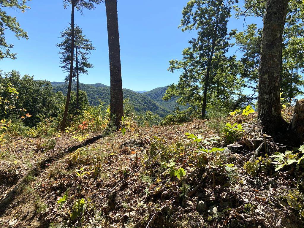 Longhunter Ln, Lot 62-W & 63-W - Photo 1