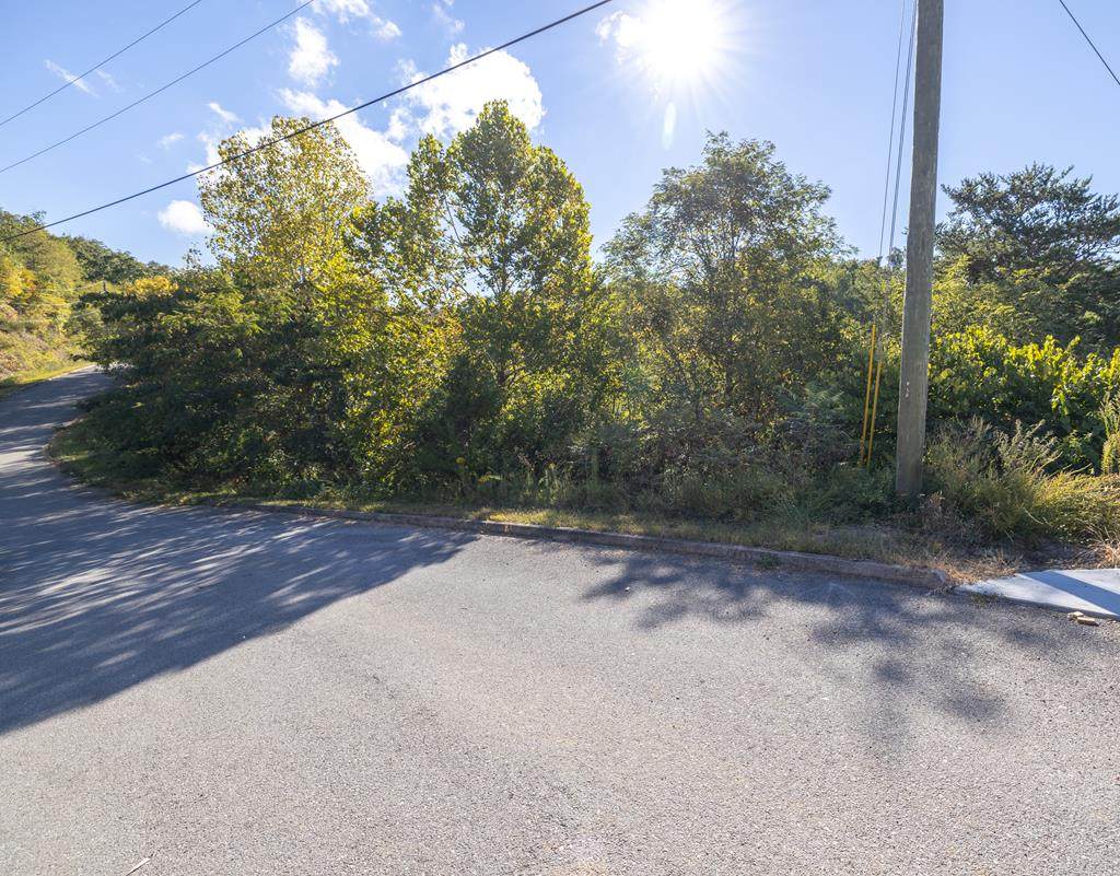 Lot 17 Penelope Ln - Photo 1