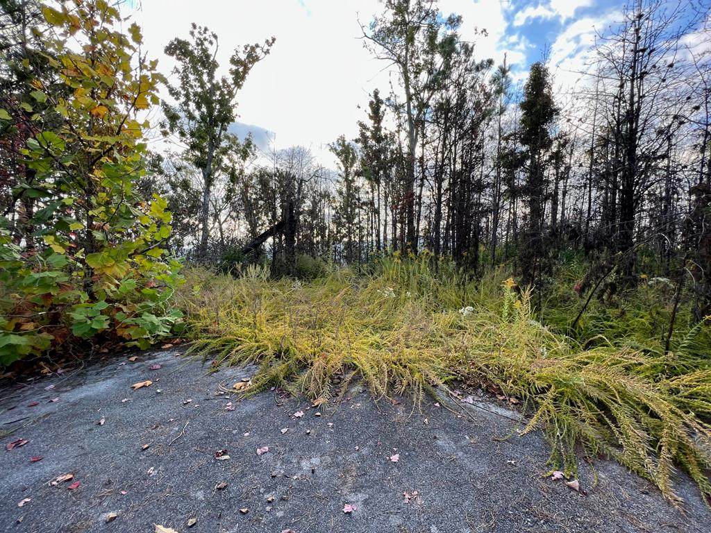 2526 Hatcher Mountain Road - Photo 1
