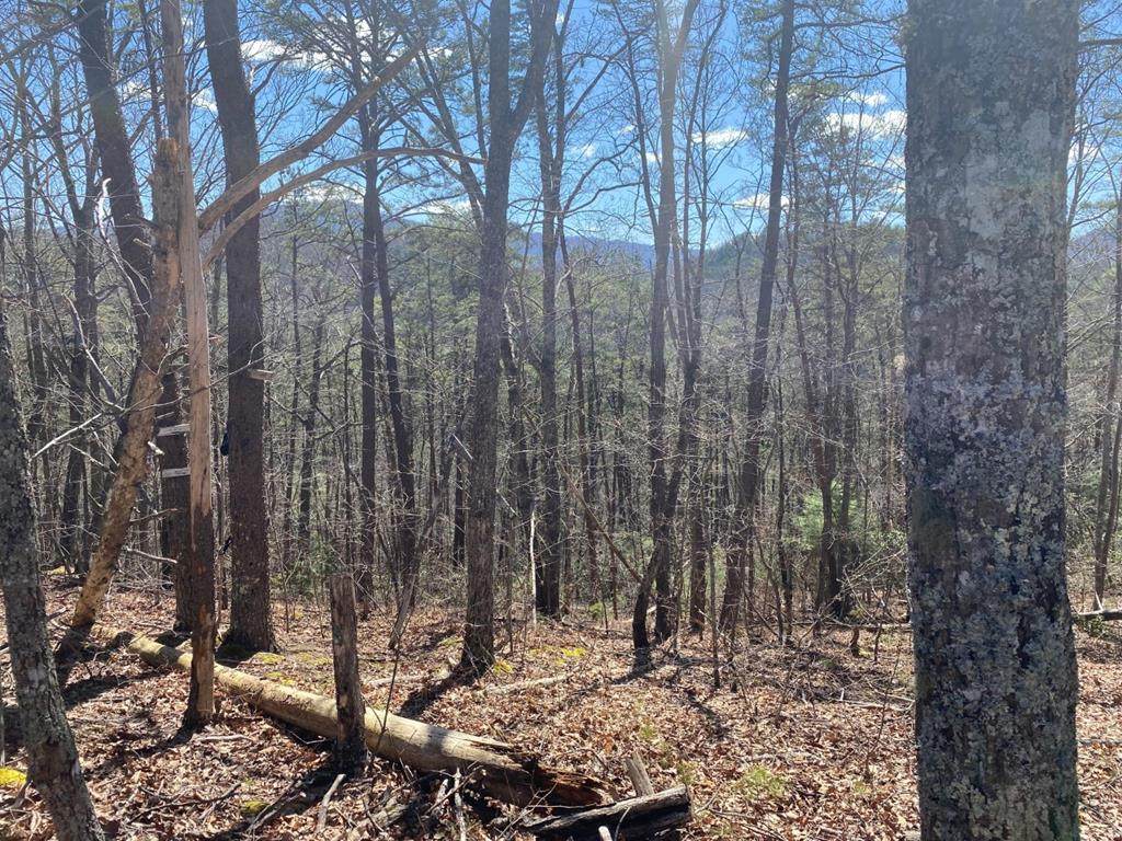 Lot 14B Knights Way - Photo 1