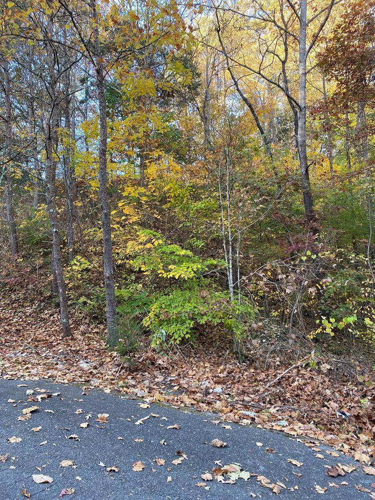 Lot 21 Smoky Mountain Way - Photo 1