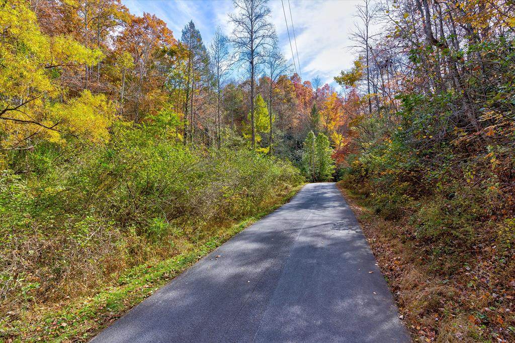 Laurel Lick Road - Photo 1