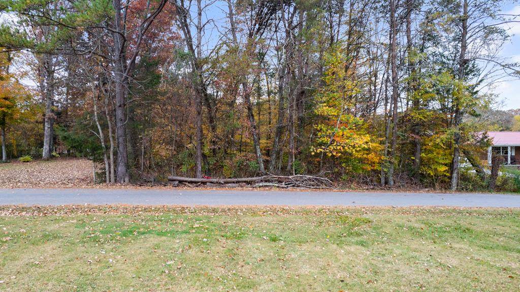 Lot 49 Center St - Photo 1