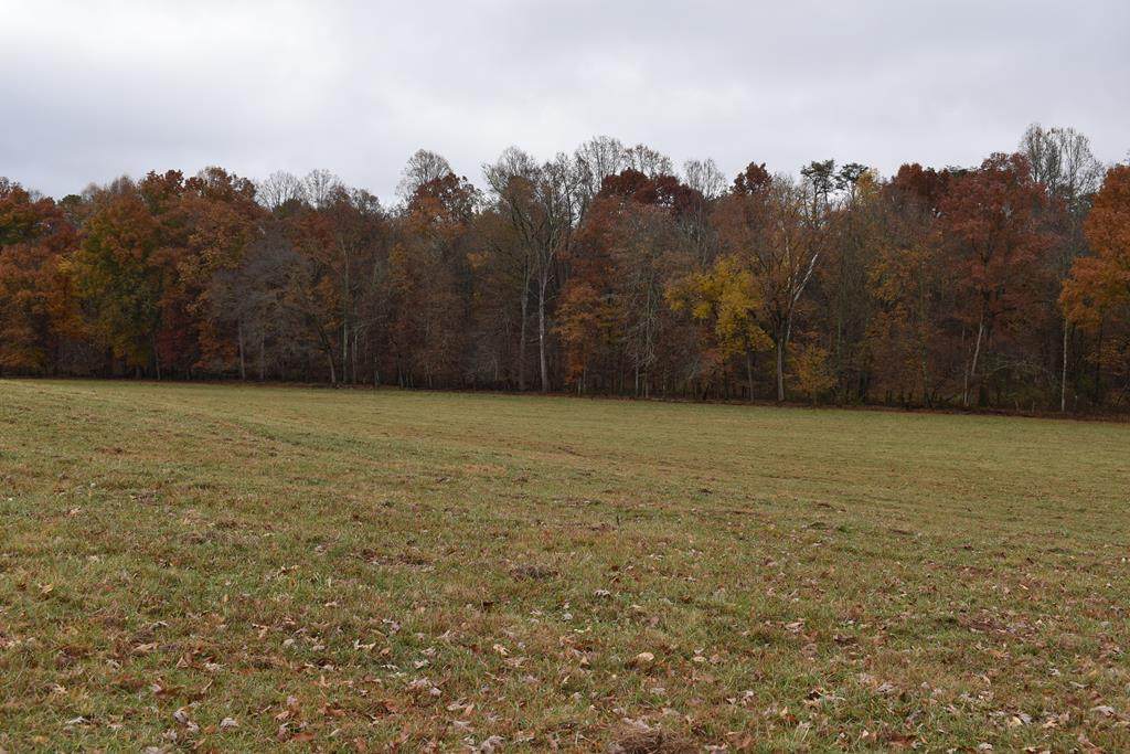 Tract 3 Jeffries Hollow Rd - Photo 1