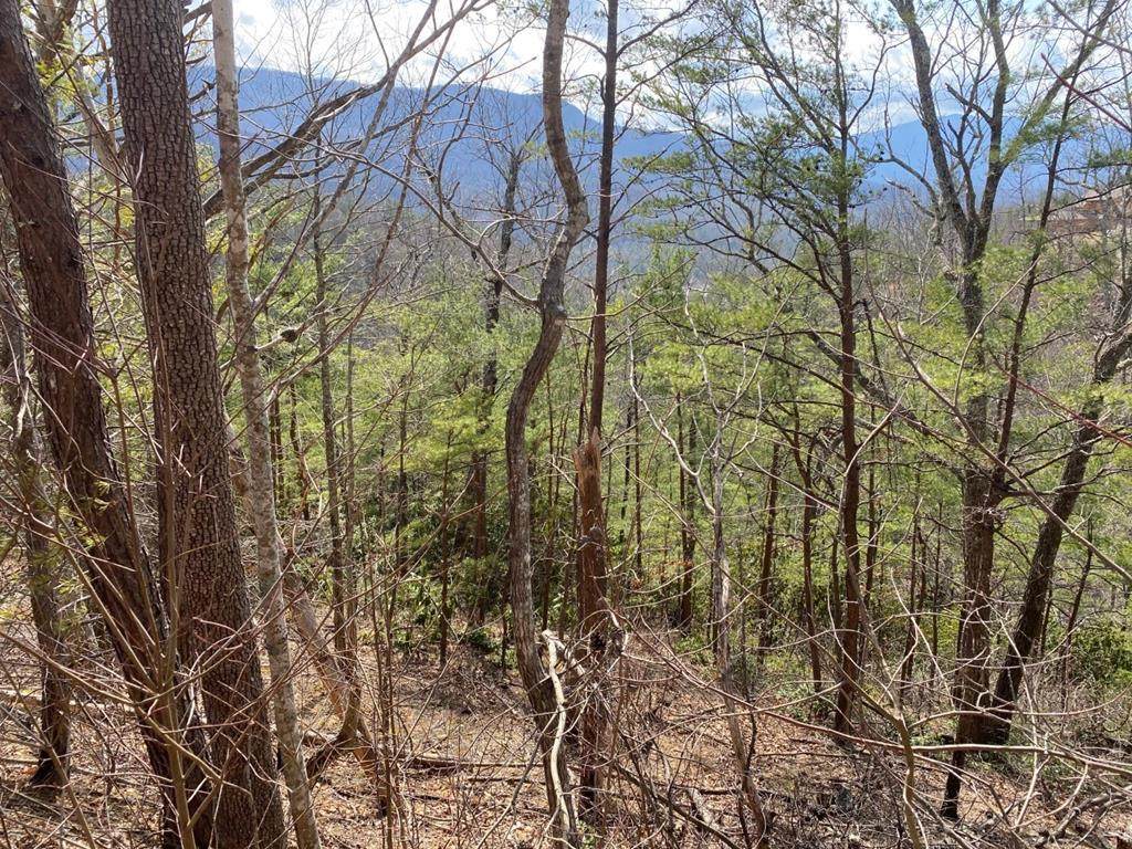Lot 5 Old Field Ridge Way - Photo 1