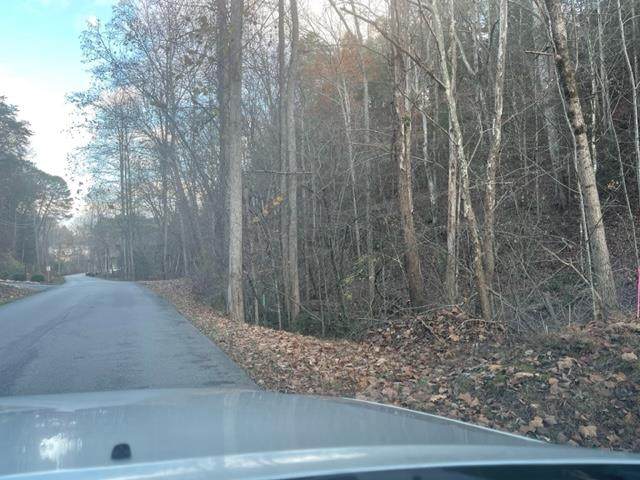 Country Oaks Drive - Photo 1