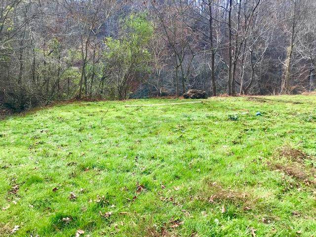 Tr1A Richardson Cove Road - Photo 1