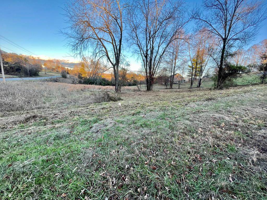 LOT 30 Sandpiper Court - Photo 1