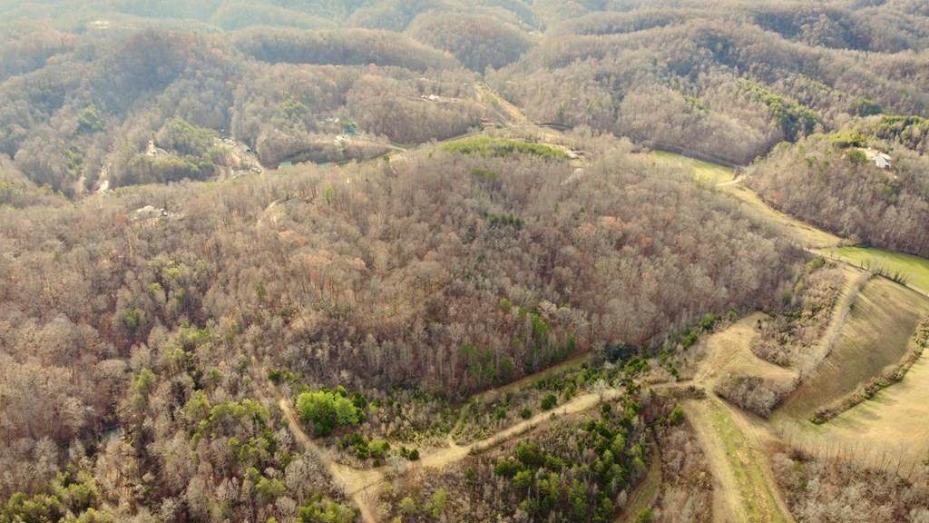 Knob Creek Rd - Photo 1