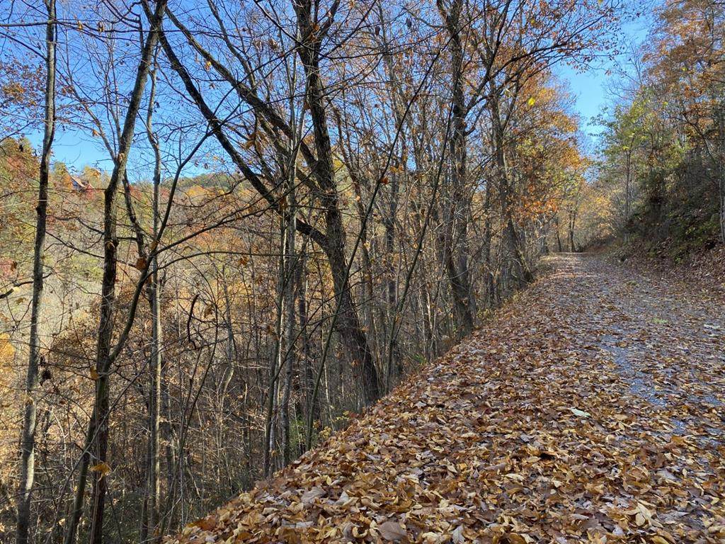 Lot 20 Sugar Maple Loop Road - Photo 1