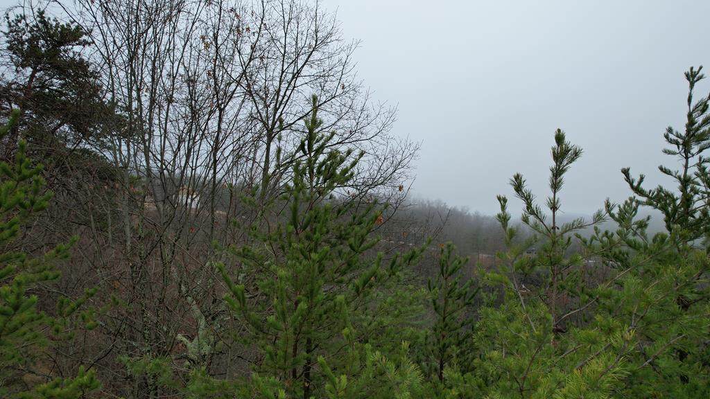 Lot 31 Grouse Ridge Lane - Photo 1